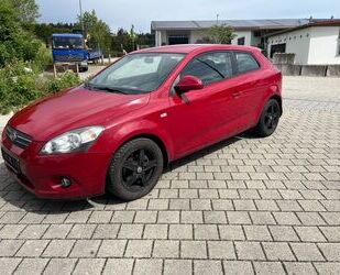 Kia pro ceed / ProCeed Gebrauchtwagen