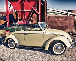 VW Käfer Gebrauchtwagen