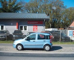 Fiat New Panda Gebrauchtwagen