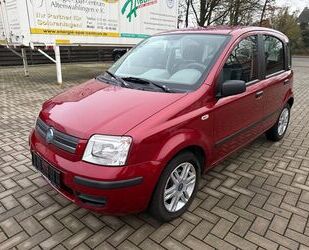 Fiat Panda Gebrauchtwagen