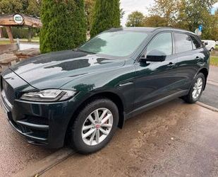 Jaguar F-Pace Gebrauchtwagen