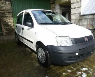 Fiat Panda Gebrauchtwagen