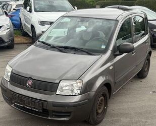 Fiat Panda Gebrauchtwagen