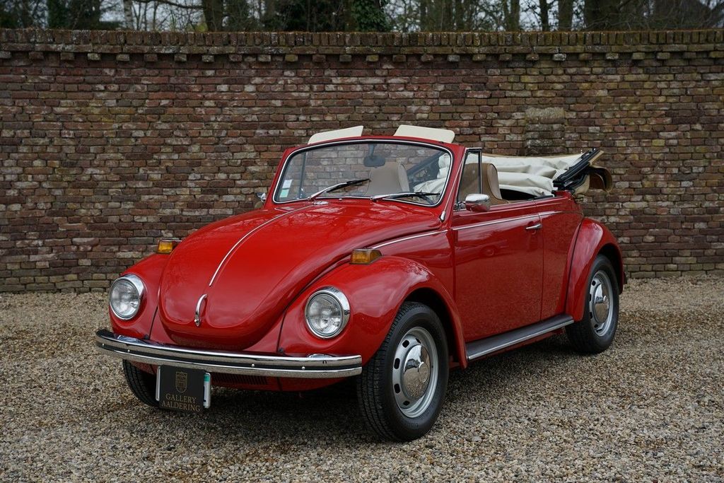 Beetle