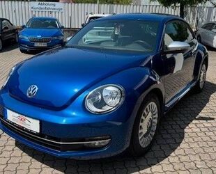 VW Beetle Gebrauchtwagen