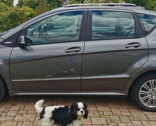 Mercedes-Benz A 180 Gebrauchtwagen
