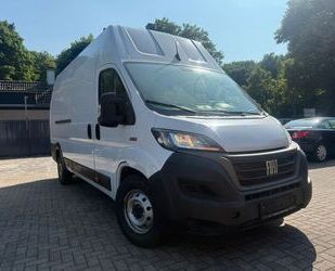 Fiat Ducato Gebrauchtwagen