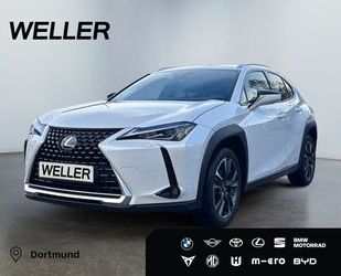 Lexus UX Gebrauchtwagen