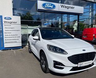 Ford Kuga Gebrauchtwagen