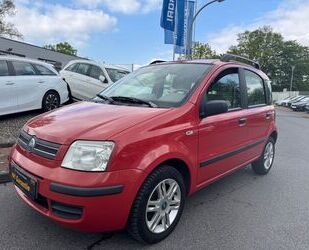 Fiat Panda Gebrauchtwagen