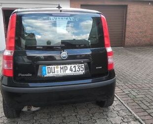 Fiat Panda Gebrauchtwagen