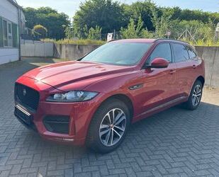 Jaguar F-Pace Gebrauchtwagen