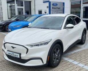 Ford Mustang Mach-E Gebrauchtwagen