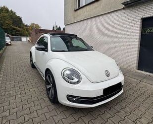 VW Beetle Gebrauchtwagen