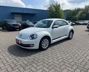 VW Beetle Gebrauchtwagen