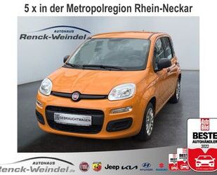 Fiat Panda Gebrauchtwagen