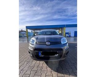 Fiat Panda Gebrauchtwagen