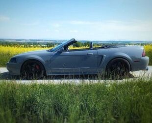 Ford Mustang Gebrauchtwagen