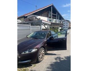 Jaguar XF Gebrauchtwagen