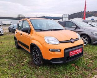 Fiat Panda Gebrauchtwagen