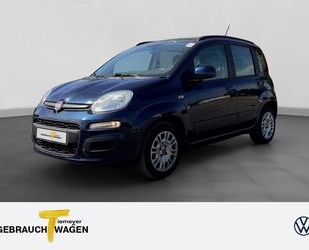 Fiat Panda Gebrauchtwagen