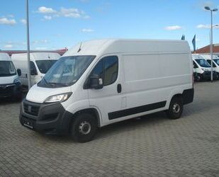 Fiat Ducato Gebrauchtwagen