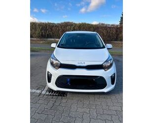 Kia Picanto Gebrauchtwagen