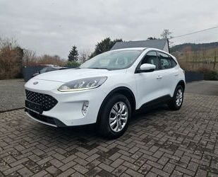 Ford Kuga Gebrauchtwagen