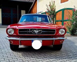 Ford Mustang Gebrauchtwagen