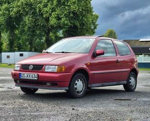 VW Polo Gebrauchtwagen