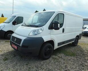 Fiat Ducato Gebrauchtwagen