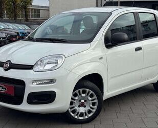 Fiat Panda Gebrauchtwagen