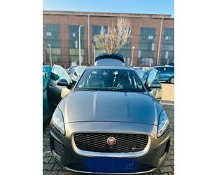 Jaguar E-Pace Gebrauchtwagen