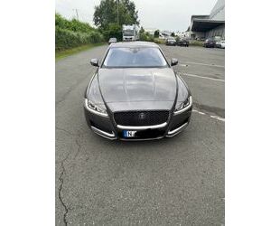 Jaguar XF Gebrauchtwagen