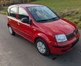 Fiat Panda Gebrauchtwagen