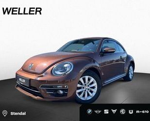 VW Beetle Gebrauchtwagen
