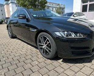 Jaguar XE Gebrauchtwagen