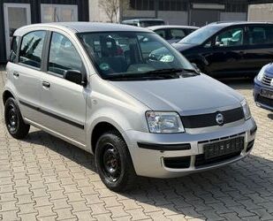 Fiat Panda Gebrauchtwagen