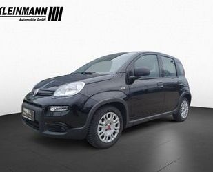 Fiat Panda Gebrauchtwagen