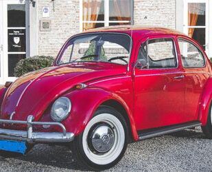 VW Käfer Gebrauchtwagen