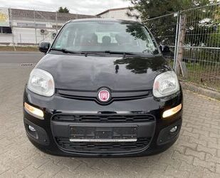 Fiat Panda Gebrauchtwagen