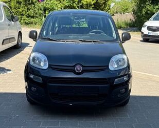 Fiat Panda Gebrauchtwagen
