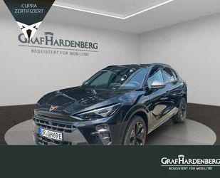 Cupra Terramar Gebrauchtwagen