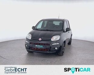 Fiat Panda Gebrauchtwagen