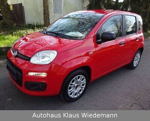 Fiat New Panda Gebrauchtwagen