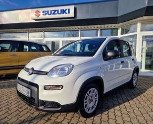 Fiat Panda Gebrauchtwagen