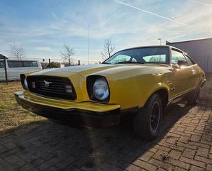Ford Mustang Gebrauchtwagen