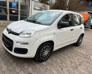 Fiat New Panda Gebrauchtwagen