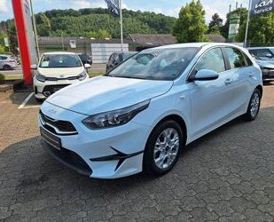 Kia ceed / Ceed Gebrauchtwagen