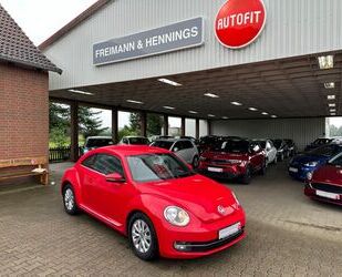 VW Beetle Gebrauchtwagen